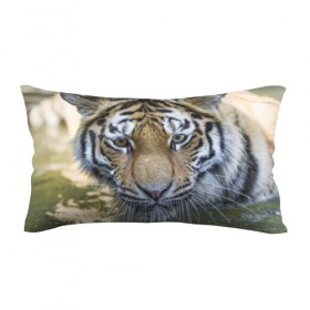Подушка 3D антистресс с принтом Тигр в Тюмени, наволочка — 100% полиэстер, наполнитель — вспененный полистирол | состоит из подушки и наволочки на молнии | животные | кошка | лев | тигр | тигренок | тигрица | хищник