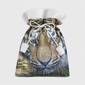 Подарочный 3D мешок с принтом Тигр в Тюмени, 100% полиэстер | Размер: 29*39 см | Тематика изображения на принте: животные | кошка | лев | тигр | тигренок | тигрица | хищник