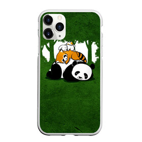 Чехол для iPhone 11 Pro матовый с принтом Милая панда в Тюмени, Силикон |  | большая | джунгли | енот | зайка | милая | панда | пушистая