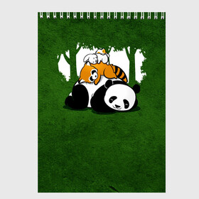 Скетчбук с принтом Милая панда в Тюмени, 100% бумага
 | 48 листов, плотность листов — 100 г/м2, плотность картонной обложки — 250 г/м2. Листы скреплены сверху удобной пружинной спиралью | большая | джунгли | енот | зайка | милая | панда | пушистая