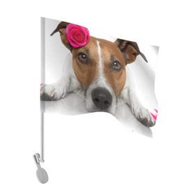 Флаг для автомобиля с принтом Джек рассел с розой в Тюмени, 100% полиэстер | Размер: 30*21 см | волкодав | дворняжка | джек | джек рассел | домашние животные | любимец | мопс | овчарка | пес | песик | питомец | рассел | сенбернар | собака | собачка