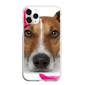 Чехол для iPhone 11 Pro матовый с принтом Джек рассел с розой в Тюмени, Силикон |  | волкодав | дворняжка | джек | джек рассел | домашние животные | любимец | мопс | овчарка | пес | песик | питомец | рассел | сенбернар | собака | собачка