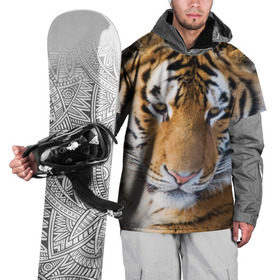 Накидка на куртку 3D с принтом Тигр в Тюмени, 100% полиэстер |  | Тематика изображения на принте: амурский | животные | киса | кот | котенок | кошка | пума | рысь | серый | тигр | хищник