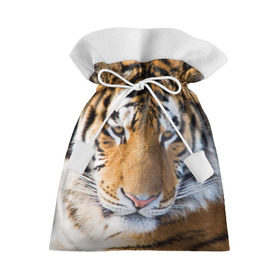 Подарочный 3D мешок с принтом Тигр в Тюмени, 100% полиэстер | Размер: 29*39 см | Тематика изображения на принте: амурский | животные | киса | кот | котенок | кошка | пума | рысь | серый | тигр | хищник