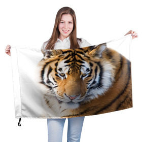 Флаг 3D с принтом Тигр в Тюмени, 100% полиэстер | плотность ткани — 95 г/м2, размер — 67 х 109 см. Принт наносится с одной стороны | амурский | животные | киса | кот | котенок | кошка | пума | рысь | серый | тигр | хищник