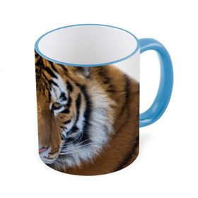 Кружка 3D с принтом Тигр в Тюмени, керамика | ёмкость 330 мл | амурский | животные | киса | кот | котенок | кошка | пума | рысь | серый | тигр | хищник