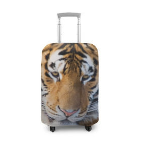 Чехол для чемодана 3D с принтом Тигр в Тюмени, 86% полиэфир, 14% спандекс | двустороннее нанесение принта, прорези для ручек и колес | амурский | животные | киса | кот | котенок | кошка | пума | рысь | серый | тигр | хищник