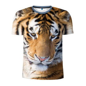 Мужская футболка 3D спортивная с принтом Тигр в Тюмени, 100% полиэстер с улучшенными характеристиками | приталенный силуэт, круглая горловина, широкие плечи, сужается к линии бедра | амурский | животные | киса | кот | котенок | кошка | пума | рысь | серый | тигр | хищник