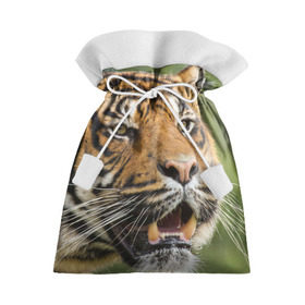 Подарочный 3D мешок с принтом Тигр в Тюмени, 100% полиэстер | Размер: 29*39 см | 