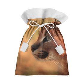 Подарочный 3D мешок с принтом Рысь в Тюмени, 100% полиэстер | Размер: 29*39 см | Тематика изображения на принте: амурский | животные | киса | кот | котенок | кошка | пума | рысь | серый | тигр | хищник