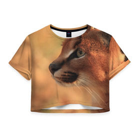 Женская футболка 3D укороченная с принтом Рысь в Тюмени, 100% полиэстер | круглая горловина, длина футболки до линии талии, рукава с отворотами | амурский | животные | киса | кот | котенок | кошка | пума | рысь | серый | тигр | хищник