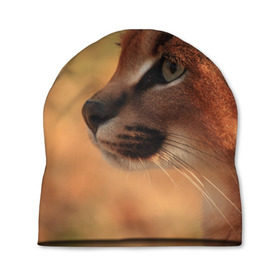 Шапка 3D с принтом Рысь в Тюмени, 100% полиэстер | универсальный размер, печать по всей поверхности изделия | амурский | животные | киса | кот | котенок | кошка | пума | рысь | серый | тигр | хищник