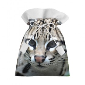 Подарочный 3D мешок с принтом Дикая кошка в Тюмени, 100% полиэстер | Размер: 29*39 см | амурский | животные | киса | кот | котенок | кошка | лев | львица | пума | рысь | серый | тигр | хищник
