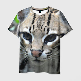 Мужская футболка 3D с принтом Дикая кошка в Тюмени, 100% полиэфир | прямой крой, круглый вырез горловины, длина до линии бедер | амурский | животные | киса | кот | котенок | кошка | лев | львица | пума | рысь | серый | тигр | хищник
