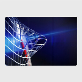 Магнитный плакат 3Х2 с принтом Гол в Тюмени, Полимерный материал с магнитным слоем | 6 деталей размером 9*9 см | Тематика изображения на принте: nhl |  сетка | ворота | гол | нхл | шайба