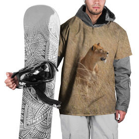 Накидка на куртку 3D с принтом Львица в траве в Тюмени, 100% полиэстер |  | Тематика изображения на принте: амурский | животные | киса | кот | котенок | кошка | лев | львица | пума | рысь | серый | тигр | хищник