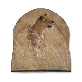 Шапка 3D с принтом Львица в траве в Тюмени, 100% полиэстер | универсальный размер, печать по всей поверхности изделия | амурский | животные | киса | кот | котенок | кошка | лев | львица | пума | рысь | серый | тигр | хищник
