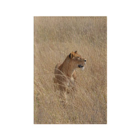 Обложка для паспорта матовая кожа с принтом Львица в траве в Тюмени, натуральная матовая кожа | размер 19,3 х 13,7 см; прозрачные пластиковые крепления | амурский | животные | киса | кот | котенок | кошка | лев | львица | пума | рысь | серый | тигр | хищник