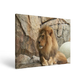 Холст прямоугольный с принтом Лев в Тюмени, 100% ПВХ |  | Тематика изображения на принте: амурский | животные | киса | кот | котенок | кошка | лев | львица | пума | рысь | серый | тигр | хищник