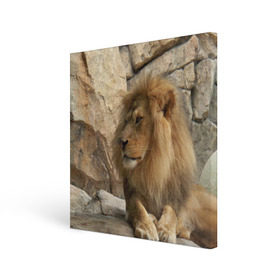 Холст квадратный с принтом Лев в Тюмени, 100% ПВХ |  | амурский | животные | киса | кот | котенок | кошка | лев | львица | пума | рысь | серый | тигр | хищник