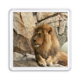 Магнит 55*55 с принтом Лев в Тюмени, Пластик | Размер: 65*65 мм; Размер печати: 55*55 мм | амурский | животные | киса | кот | котенок | кошка | лев | львица | пума | рысь | серый | тигр | хищник