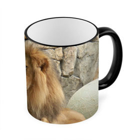 Кружка 3D с принтом Лев в Тюмени, керамика | ёмкость 330 мл | амурский | животные | киса | кот | котенок | кошка | лев | львица | пума | рысь | серый | тигр | хищник