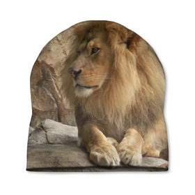 Шапка 3D с принтом Лев в Тюмени, 100% полиэстер | универсальный размер, печать по всей поверхности изделия | амурский | животные | киса | кот | котенок | кошка | лев | львица | пума | рысь | серый | тигр | хищник