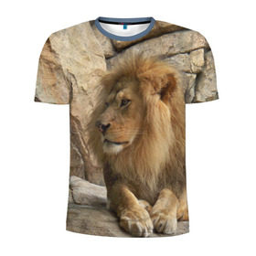Мужская футболка 3D спортивная с принтом Лев в Тюмени, 100% полиэстер с улучшенными характеристиками | приталенный силуэт, круглая горловина, широкие плечи, сужается к линии бедра | Тематика изображения на принте: амурский | животные | киса | кот | котенок | кошка | лев | львица | пума | рысь | серый | тигр | хищник