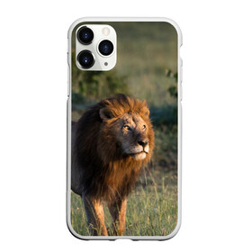 Чехол для iPhone 11 Pro матовый с принтом Лев в Тюмени, Силикон |  | амурский | животные | киса | кот | котенок | кошка | лев | львица | пума | рысь | серый | тигр | хищник