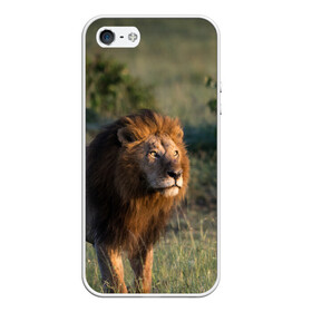 Чехол для iPhone 5/5S матовый с принтом Лев в Тюмени, Силикон | Область печати: задняя сторона чехла, без боковых панелей | амурский | животные | киса | кот | котенок | кошка | лев | львица | пума | рысь | серый | тигр | хищник