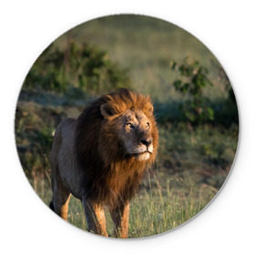 Коврик круглый с принтом Лев в Тюмени, резина и полиэстер | круглая форма, изображение наносится на всю лицевую часть | амурский | животные | киса | кот | котенок | кошка | лев | львица | пума | рысь | серый | тигр | хищник