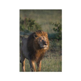 Обложка для паспорта матовая кожа с принтом Лев в Тюмени, натуральная матовая кожа | размер 19,3 х 13,7 см; прозрачные пластиковые крепления | амурский | животные | киса | кот | котенок | кошка | лев | львица | пума | рысь | серый | тигр | хищник