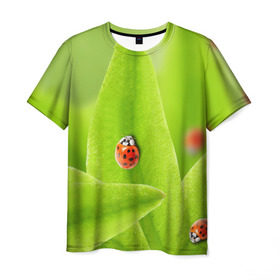 Мужская футболка 3D с принтом Жучки на травке в Тюмени, 100% полиэфир | прямой крой, круглый вырез горловины, длина до линии бедер | жук | зеленый | зелень | красный | насекомые | природа