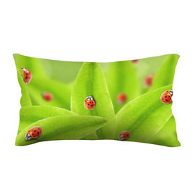 Подушка 3D антистресс с принтом Жучки на травке в Тюмени, наволочка — 100% полиэстер, наполнитель — вспененный полистирол | состоит из подушки и наволочки на молнии | жук | зеленый | зелень | красный | насекомые | природа