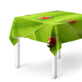 Скатерть 3D с принтом Жучки на травке в Тюмени, 100% полиэстер (ткань не мнется и не растягивается) | Размер: 150*150 см | жук | зеленый | зелень | красный | насекомые | природа