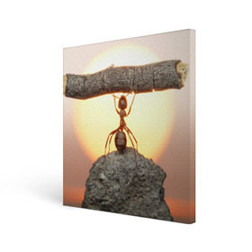 Холст квадратный с принтом Муравей в Тюмени, 100% ПВХ |  | Тематика изображения на принте: ветка | жук | закат | камень | муравей | насекомые | природа