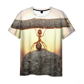 Мужская футболка 3D с принтом Муравей в Тюмени, 100% полиэфир | прямой крой, круглый вырез горловины, длина до линии бедер | ветка | жук | закат | камень | муравей | насекомые | природа