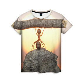 Женская футболка 3D с принтом Муравей в Тюмени, 100% полиэфир ( синтетическое хлопкоподобное полотно) | прямой крой, круглый вырез горловины, длина до линии бедер | ветка | жук | закат | камень | муравей | насекомые | природа