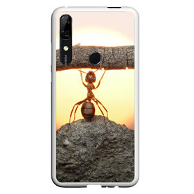 Чехол для Honor P Smart Z с принтом Муравей в Тюмени, Силикон | Область печати: задняя сторона чехла, без боковых панелей | ветка | жук | закат | камень | муравей | насекомые | природа