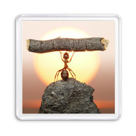 Магнит 55*55 с принтом Муравей в Тюмени, Пластик | Размер: 65*65 мм; Размер печати: 55*55 мм | Тематика изображения на принте: ветка | жук | закат | камень | муравей | насекомые | природа