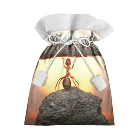 Подарочный 3D мешок с принтом Муравей в Тюмени, 100% полиэстер | Размер: 29*39 см | Тематика изображения на принте: ветка | жук | закат | камень | муравей | насекомые | природа