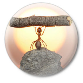 Значок с принтом Муравей в Тюмени,  металл | круглая форма, металлическая застежка в виде булавки | ветка | жук | закат | камень | муравей | насекомые | природа