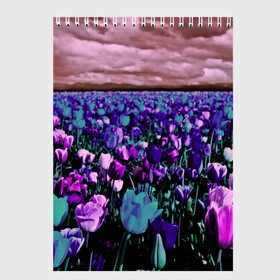 Скетчбук с принтом Поле тюльпанов в Тюмени, 100% бумага
 | 48 листов, плотность листов — 100 г/м2, плотность картонной обложки — 250 г/м2. Листы скреплены сверху удобной пружинной спиралью | flower | весна | поле | полевой цветок | природа | цветочки | цветы