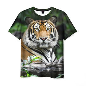 Мужская футболка 3D с принтом Тигр в джунглях в Тюмени, 100% полиэфир | прямой крой, круглый вырез горловины, длина до линии бедер | амурский | животные | зверь | киса | кот | котенок | кошка | тигр | хищник