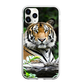 Чехол для iPhone 11 Pro матовый с принтом Тигр в джунглях в Тюмени, Силикон |  | амурский | животные | зверь | киса | кот | котенок | кошка | тигр | хищник