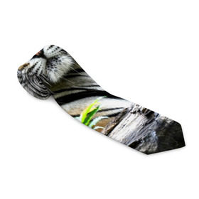 Галстук 3D с принтом Тигр в джунглях в Тюмени, 100% полиэстер | Длина 148 см; Плотность 150-180 г/м2 | Тематика изображения на принте: амурский | животные | зверь | киса | кот | котенок | кошка | тигр | хищник