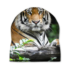 Шапка 3D с принтом Тигр в джунглях в Тюмени, 100% полиэстер | универсальный размер, печать по всей поверхности изделия | Тематика изображения на принте: амурский | животные | зверь | киса | кот | котенок | кошка | тигр | хищник
