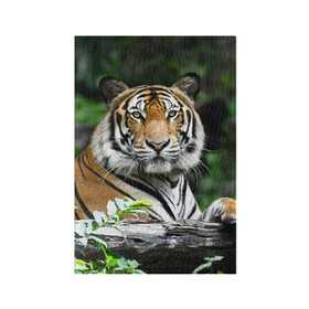 Обложка для паспорта матовая кожа с принтом Тигр в джунглях в Тюмени, натуральная матовая кожа | размер 19,3 х 13,7 см; прозрачные пластиковые крепления | Тематика изображения на принте: амурский | животные | зверь | киса | кот | котенок | кошка | тигр | хищник