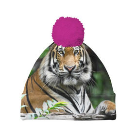Шапка 3D c помпоном с принтом Тигр в джунглях в Тюмени, 100% полиэстер | универсальный размер, печать по всей поверхности изделия | амурский | животные | зверь | киса | кот | котенок | кошка | тигр | хищник