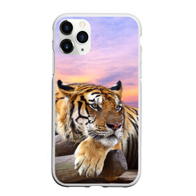 Чехол для iPhone 11 Pro матовый с принтом Тигр в Тюмени, Силикон |  | амурский | животные | зверь | киса | кот | котенок | кошка | тигр | хищник